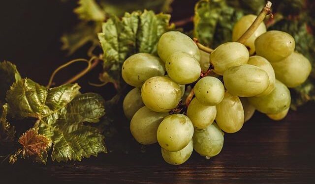 Unleash Your Inner Winemaker: Dive into the Joy of Grape Stomping in Portugal’s Douro Valley!