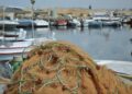 Revolutionizing Fisheries and Aquaculture: Paving the Way for a Sustainable Future