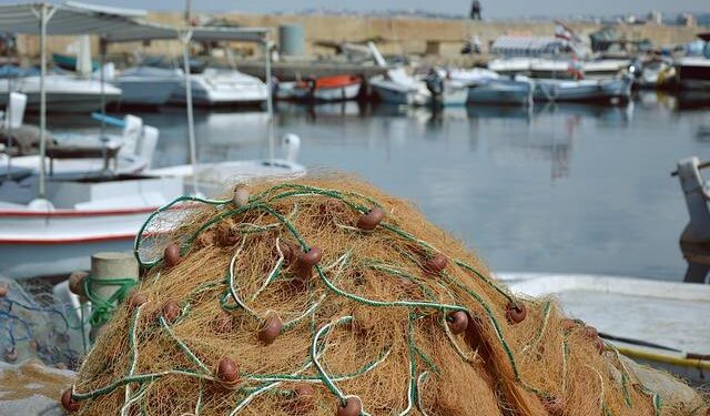 Revolutionizing Fisheries and Aquaculture: Paving the Way for a Sustainable Future