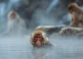 Unveil the Magic: 31 Stunning Hot Springs and Geothermal Pools in Iceland!