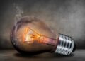 Luxembourg Joins Forces with International IDEA to Empower Democracy