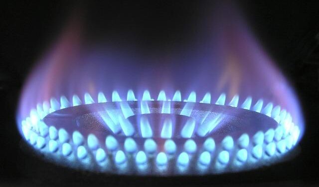 Uncovering the Heat: A Comprehensive Guide to Wildfire Fuels in the Czech Republic