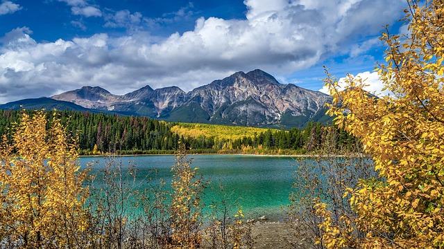 Unlocking Apple’s December Quarter: Insights from Bank of America’s Bold Predictions